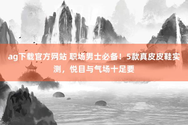 ag下载官方网站 职场男士必备！5款真皮皮鞋实测，悦目与气场十足要