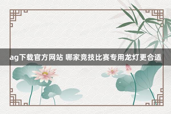 ag下载官方网站 哪家竞技比赛专用龙灯更合适