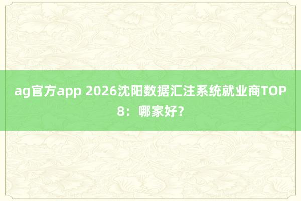 ag官方app 2026沈阳数据汇注系统就业商TOP8：哪家好？